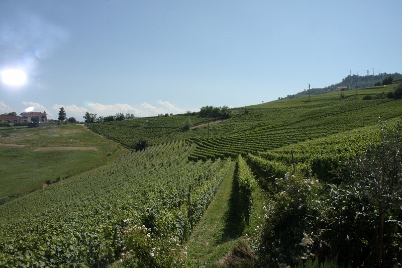 Piemont 2009  039.jpg